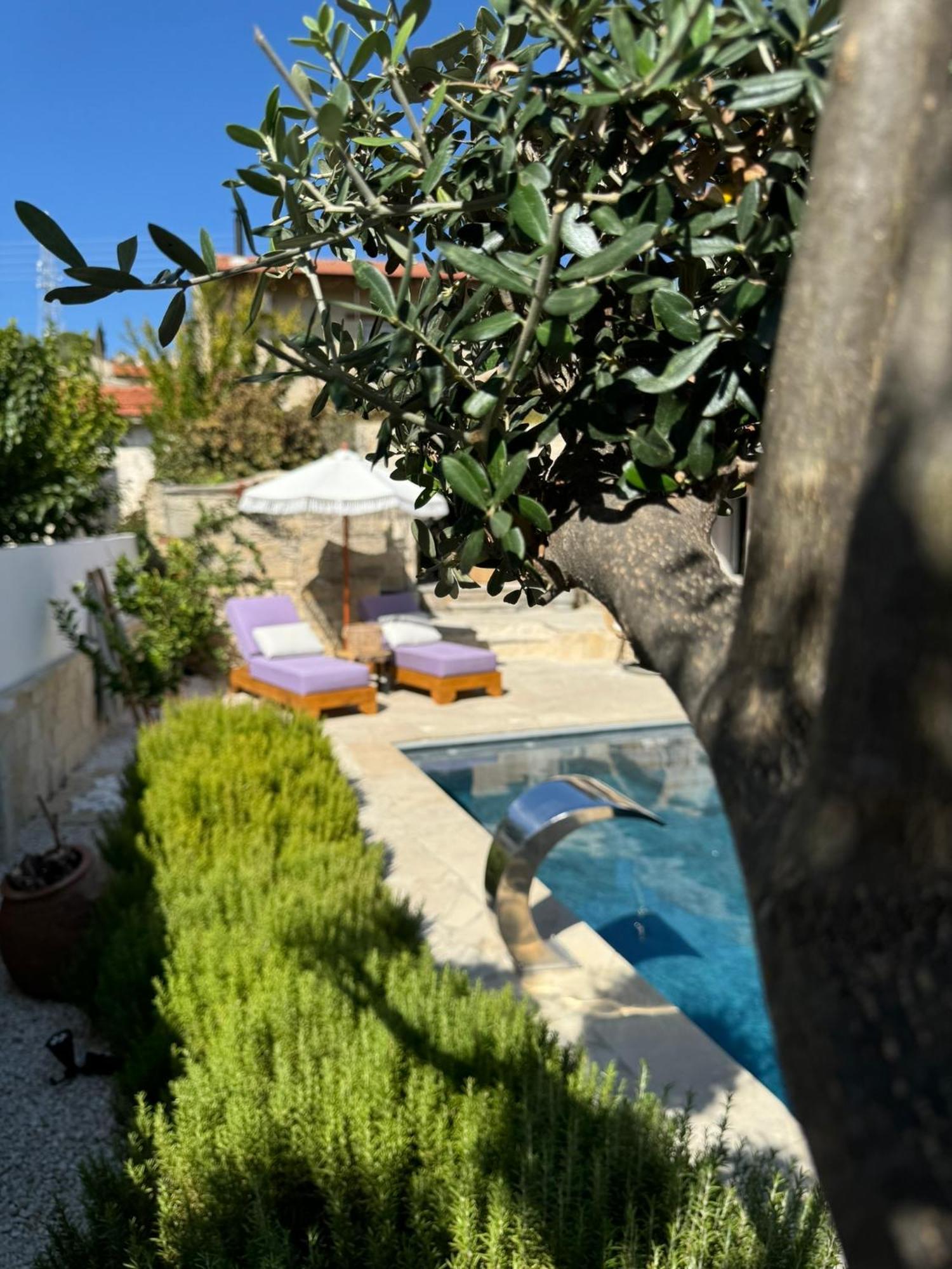 Fig&Olive Luxury One Bedroom Boutique In Pachna Lemesós Eksteriør bilde
